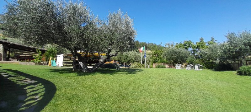 Chalet Negli Ulivi