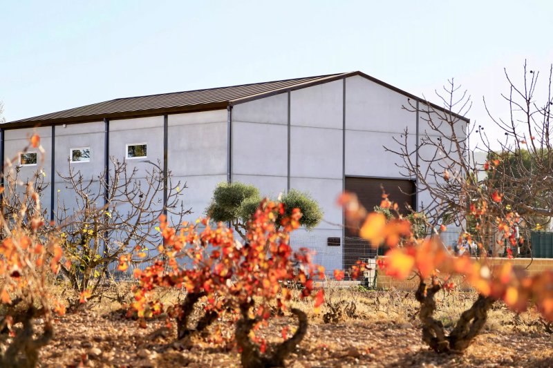 Bodegas Alejandro