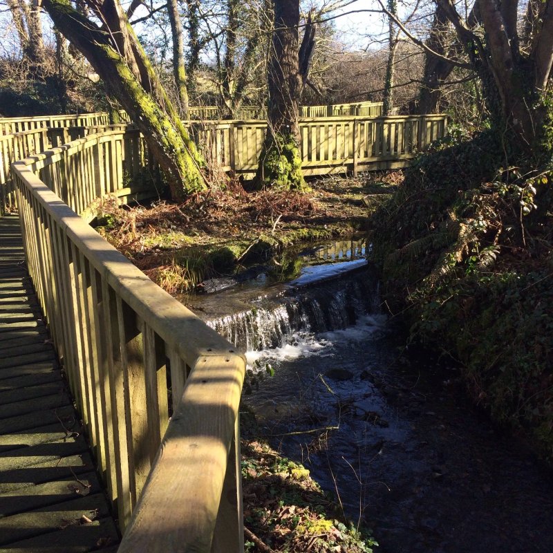 Gorslwyd Farm Holiday Cottages