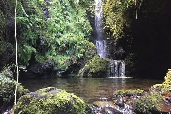 Madeira Wonder Hikes