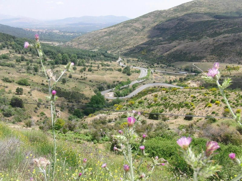 Asador Cruz Verde