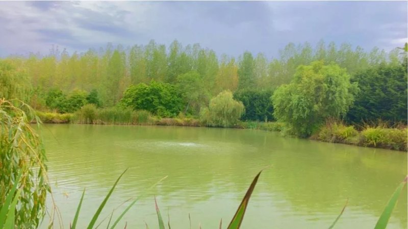 Cackle Hill Lakes