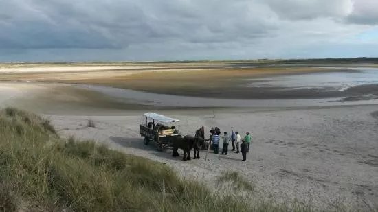 Jan Plezier Huifkartochten Texel