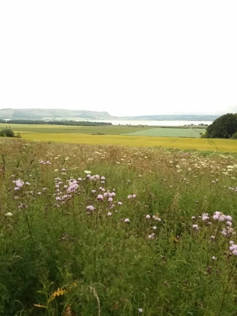 Arisaig B&B