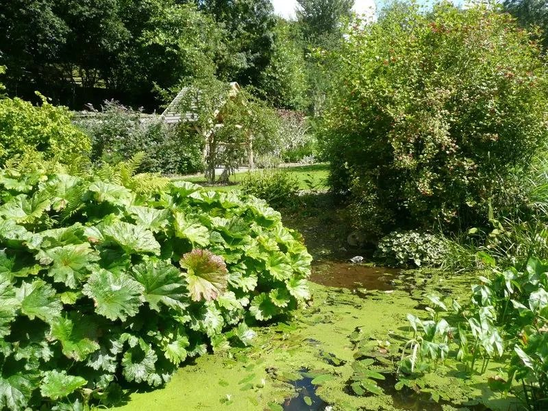The Ty Glyn Davis Trust Holiday Centre and Gardens