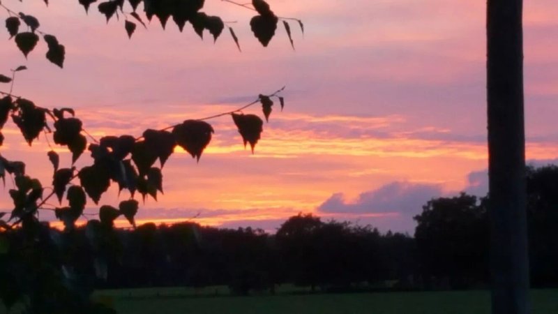 Bed & Breakfast Erve Dikkeboer