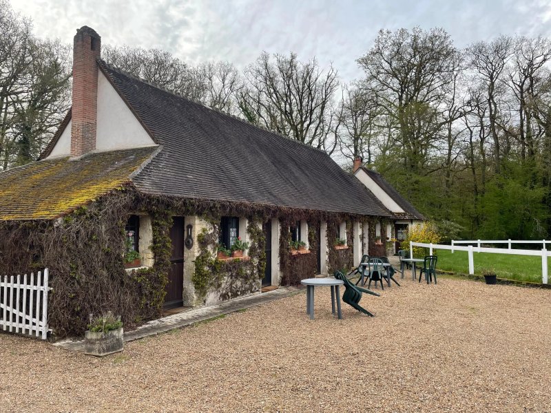 GITE WITH SWIMMING POOL in the heart of the Amboise forest, 5 minutes from