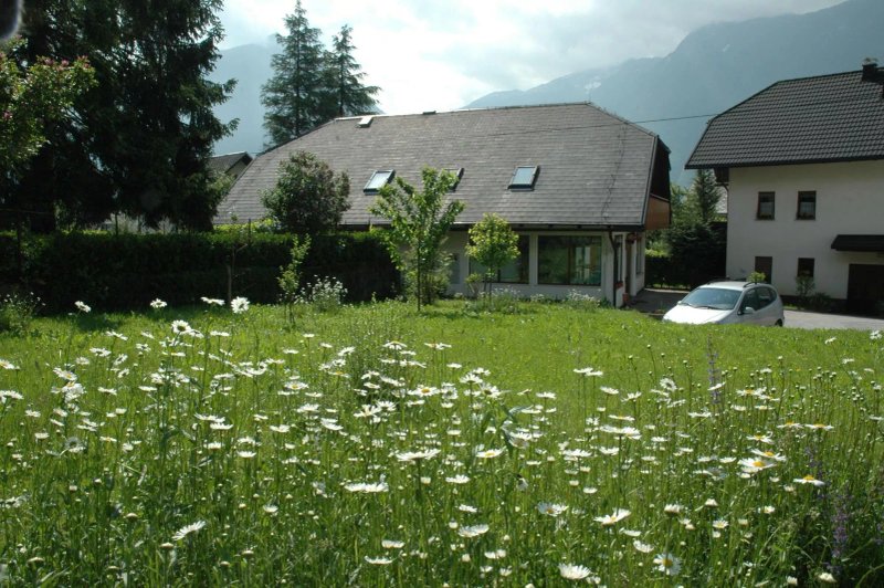 Guesthouse Tajcr