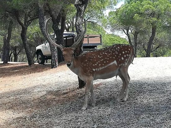 Parque Mata Da Conceicao