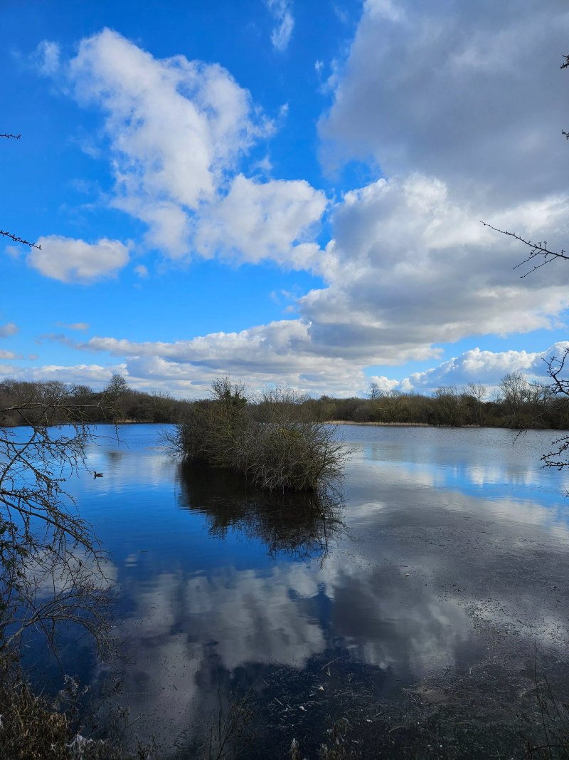 Storton Pits Nature Reserve