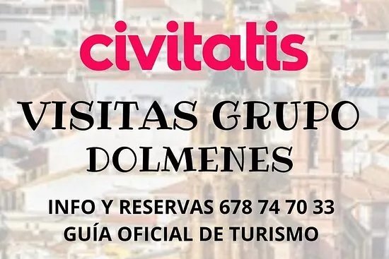 Visitas Grupo dolmenes