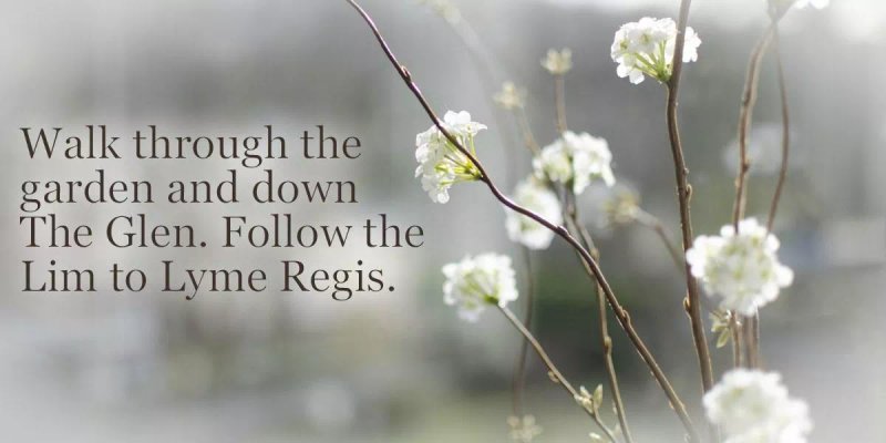 Fingle Bed and Breakfast