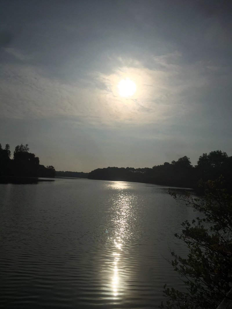 Réserve Naturelle de l'Étang Noir