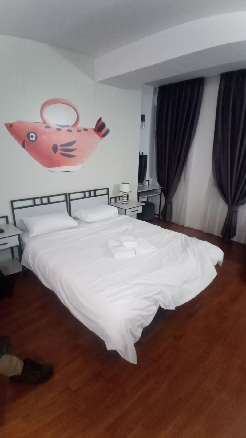 Osten Art Hotel