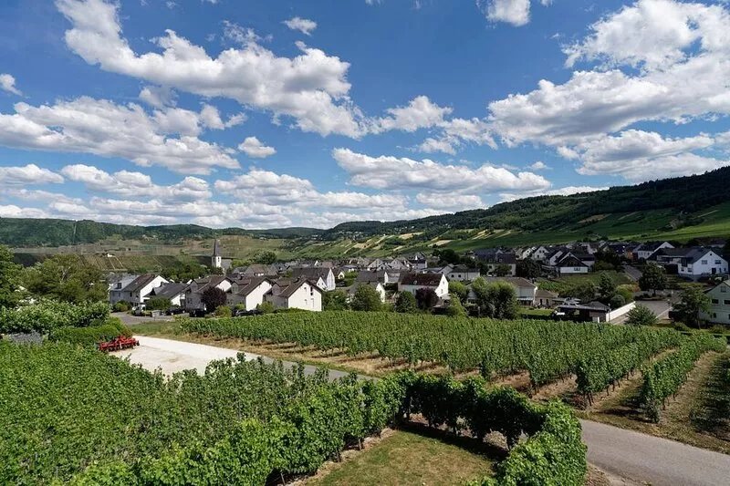 Ferienwohnung "laurentiusblick" mit Panoramablick in den Weinbergen von Leiwen
