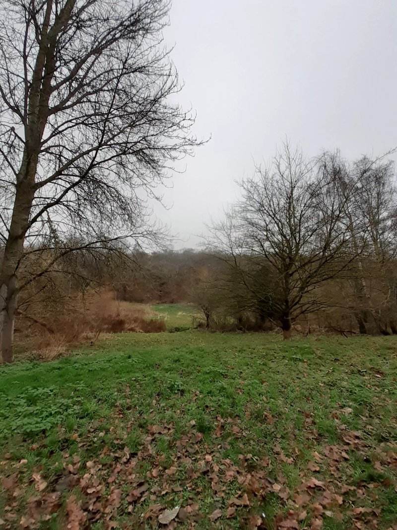 Mill Stream Nature Reserve