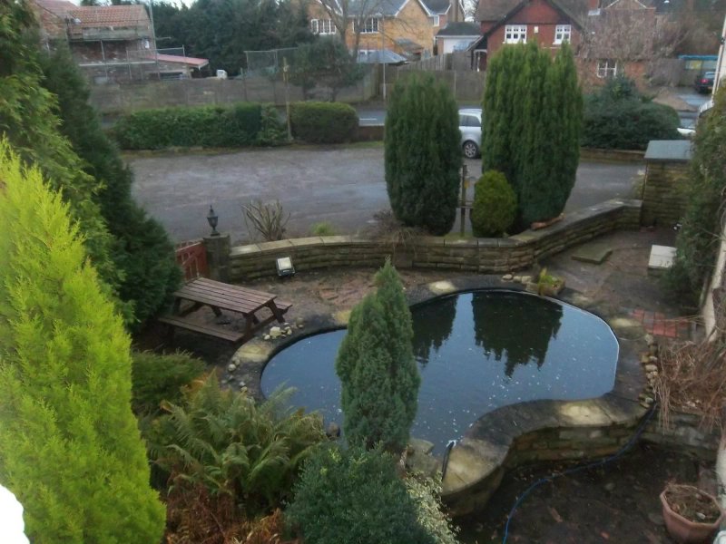 The Park View