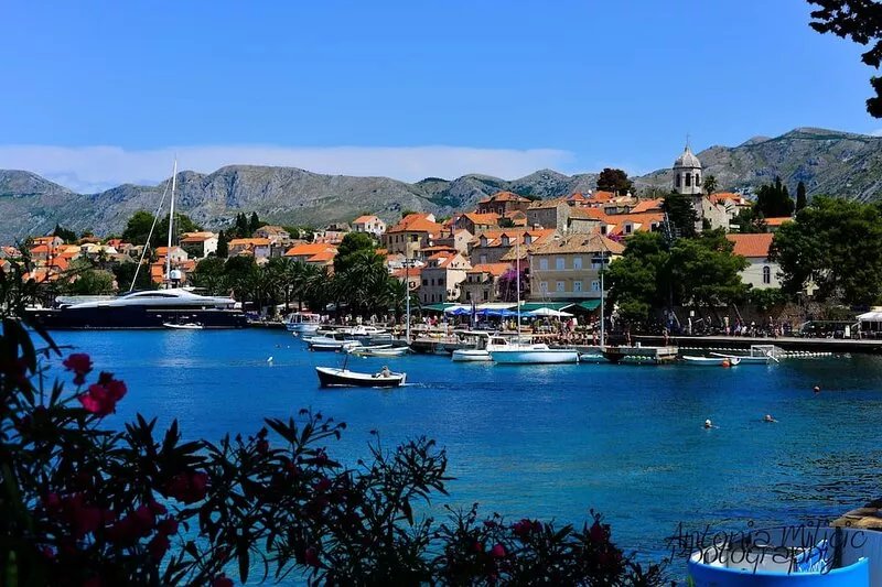 Charming 3 Bedrooms A&M Milicic Apartment in Cavtat near beaches and hotels
