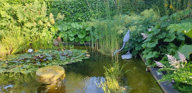 Meirlaenhof B&B