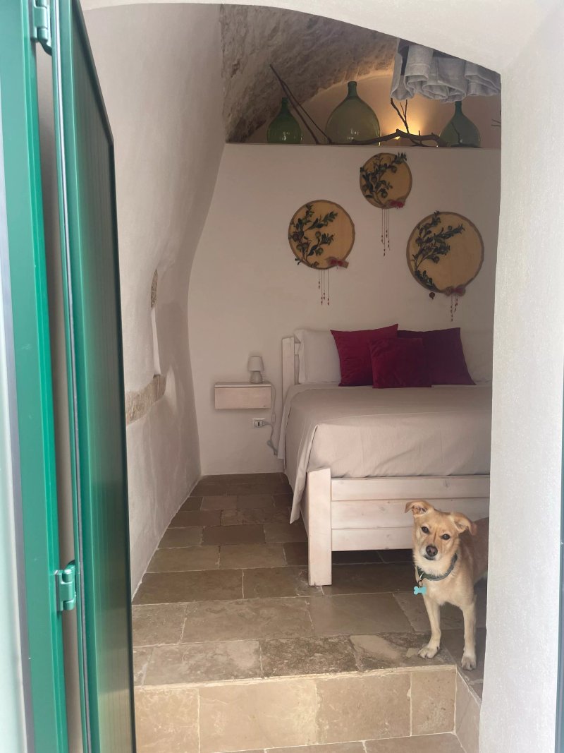 Radici Guest House