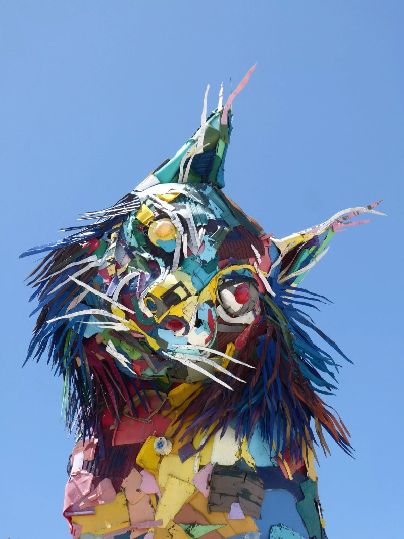 Lince Iberico - Bordalo II