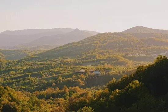 Fattoria Del Borgo In Sabina
