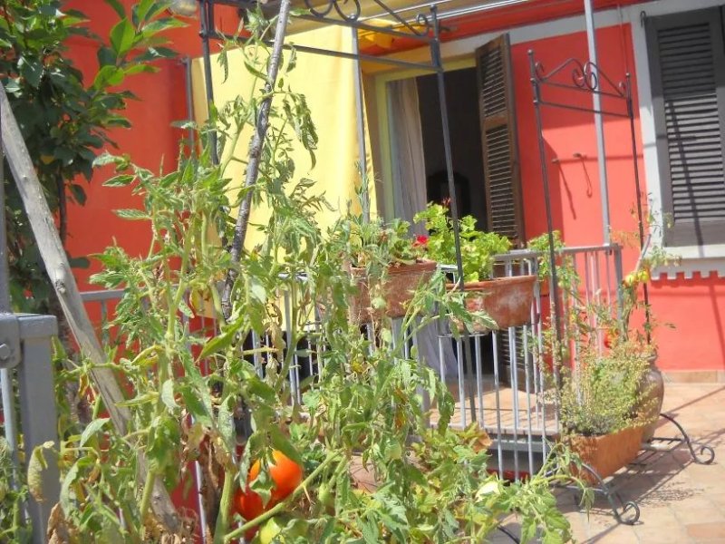 B&B Il Cortiletto di Neri