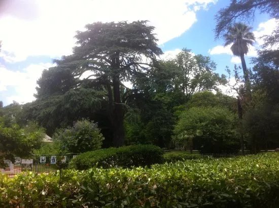Jardin du Las - Parc Burnet