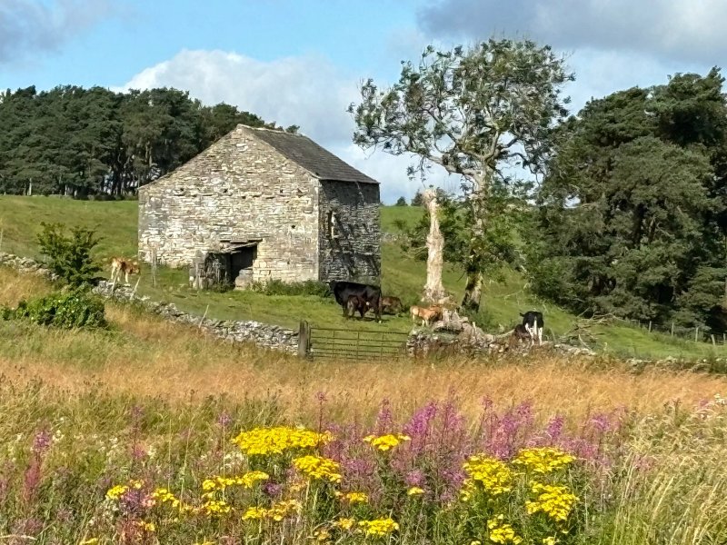 Low Greenside Farm Campsite