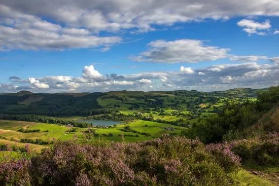 Tegg’s Nose Country Park