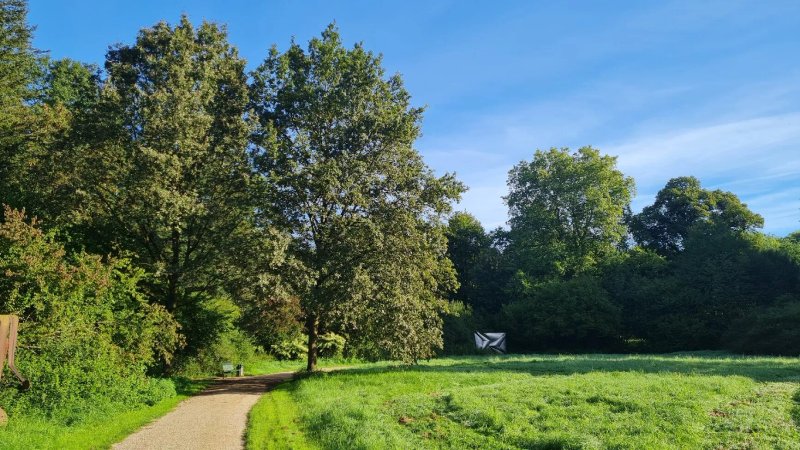 Schlosspark Schloss Morsbroich