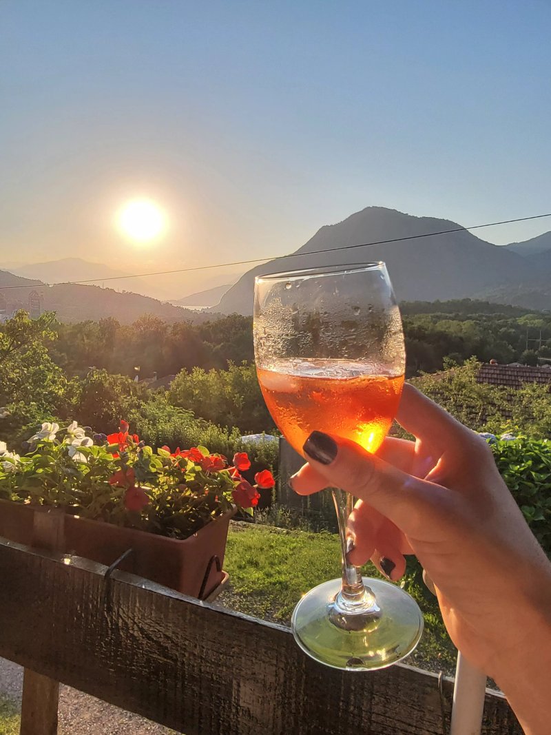 Albergo Ristorante Le Ortensie