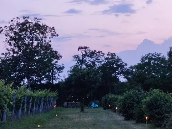 Tenuta Cesura Nonna Melia