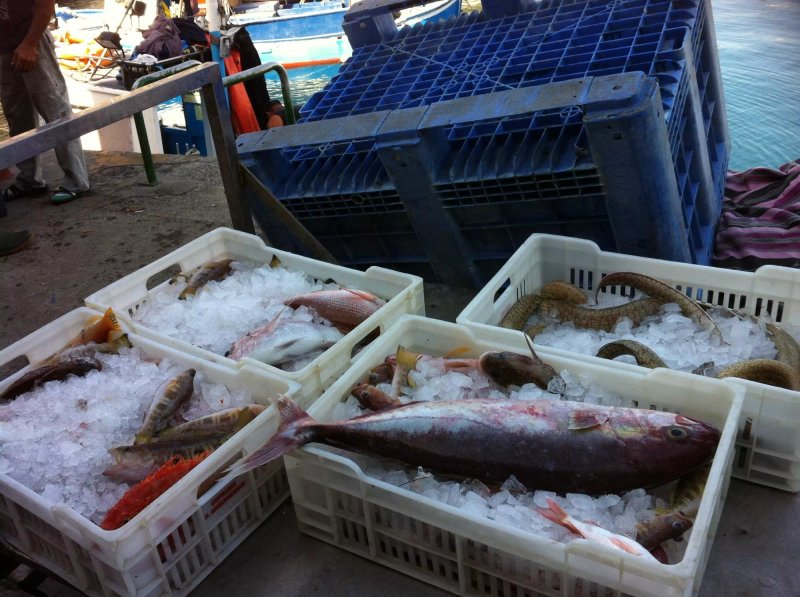 House of Fish