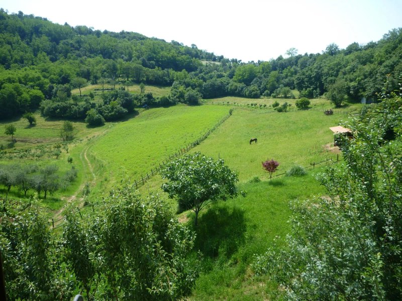 Le Torreselle Trotters