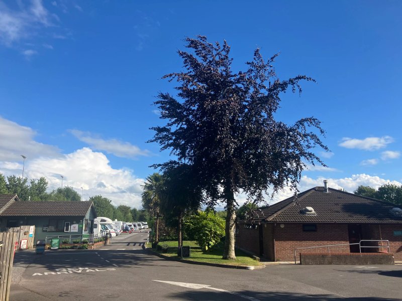 Cheddar Caravan and Motorhome Club Campsite