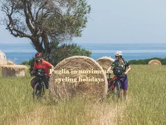 Puglia in Movimento