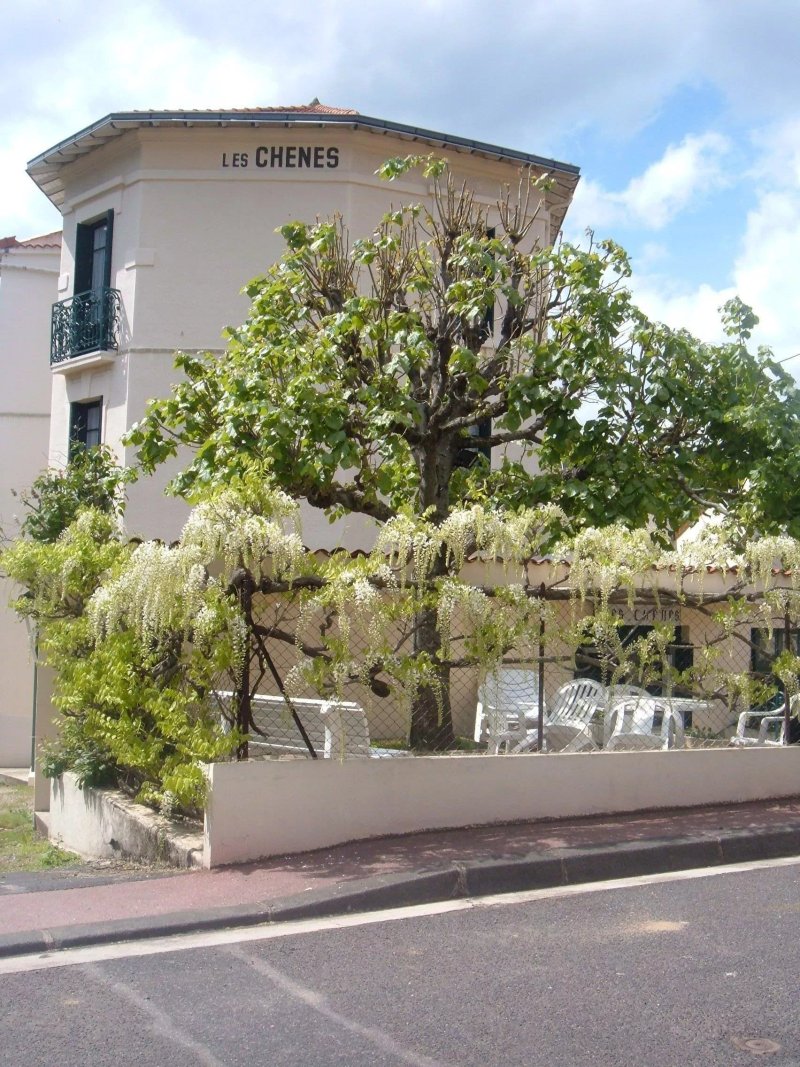B&B Chambres d'Hote Les Chenes