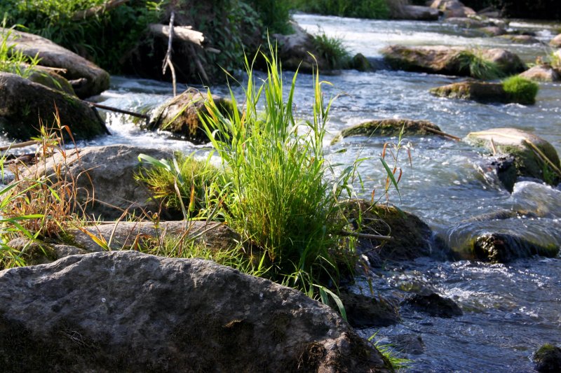 Naturschutzgebiet Vilsengtal mit Taferlsee und Lebendige Vils