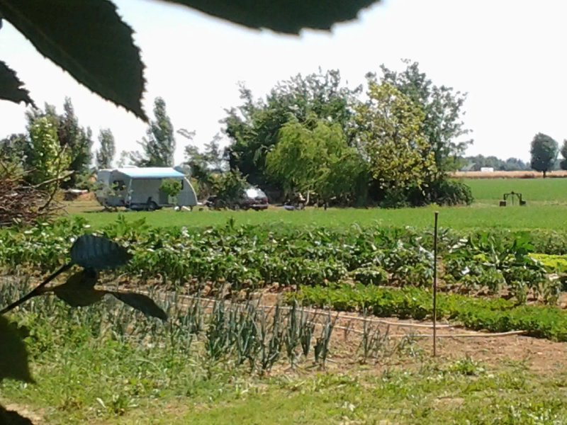 Agriturismo Corte Oppietti Camping