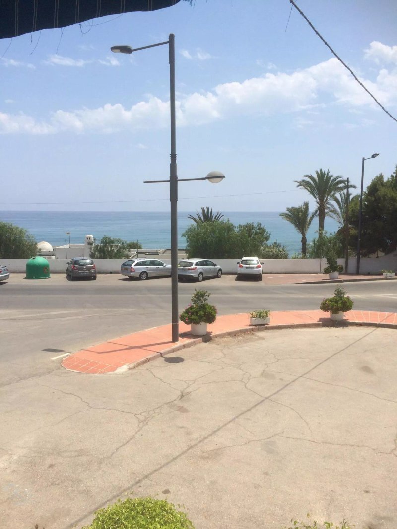 La Gaviota