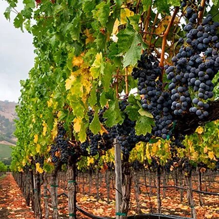 The South of Spain
