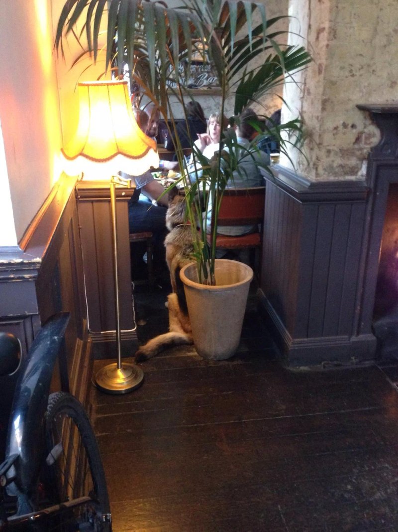 The Manor Bar And Grill