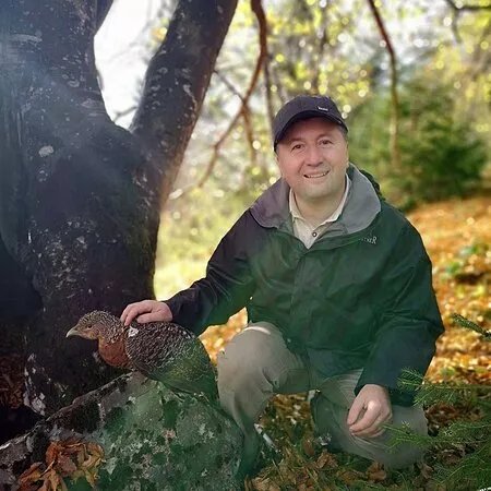 Capercaillie wildlife photography tour in Croatia
