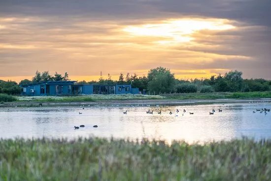 RSPB Frampton Marsh