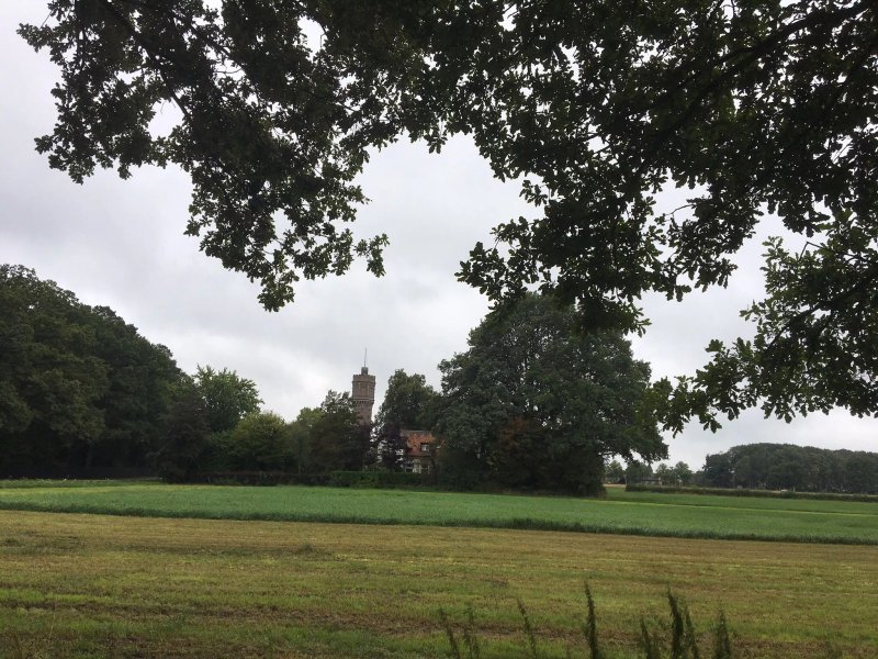 T Hoogspel