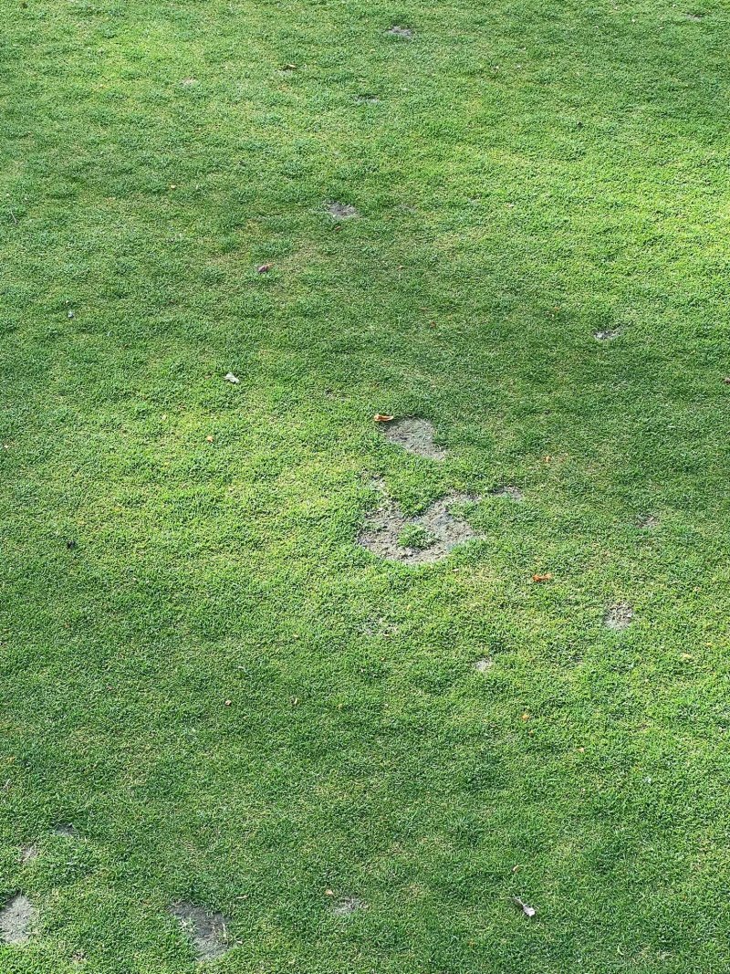 Hoebridge Golf Centre