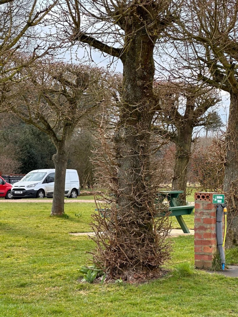 Walesby Woodlands Caravan Park