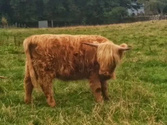 Highland Tours Inverness