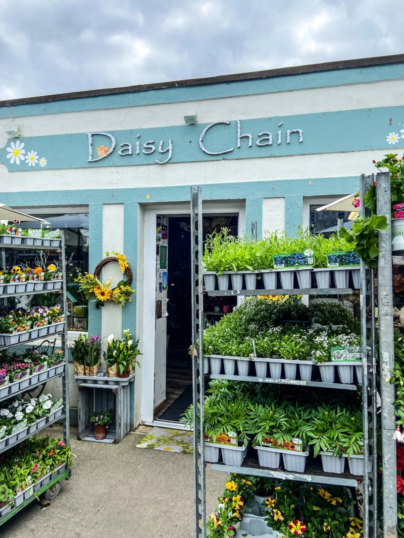 The Daisy Chain